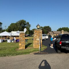 IMG 010771  Early morning arrivals